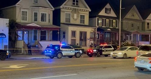 Man attacked and killed by multiple dogs in Albany, New York - CBS News