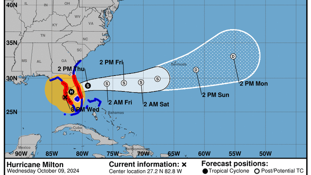 milton-cones-5a-100924.jpg 