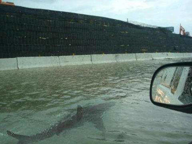 fake-shark-hurricane.jpg 