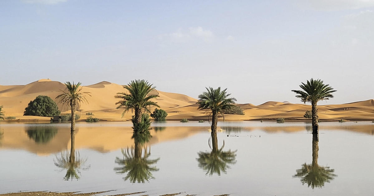 Een zeldzame overstroming zet voor het eerst in decennia delen van de Sahara onder water