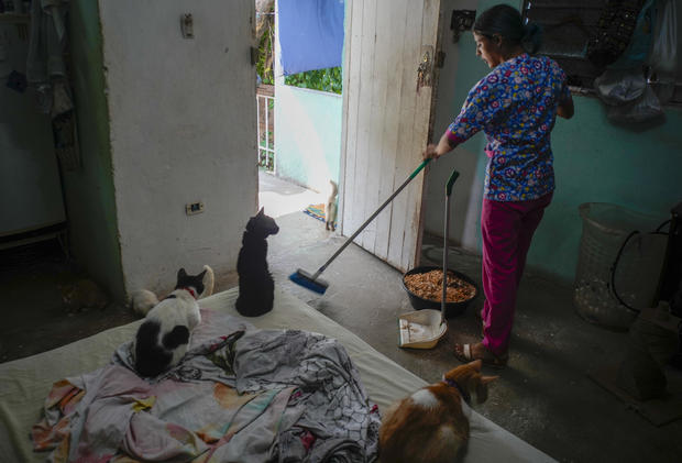 Cuba Abandoned Pets 