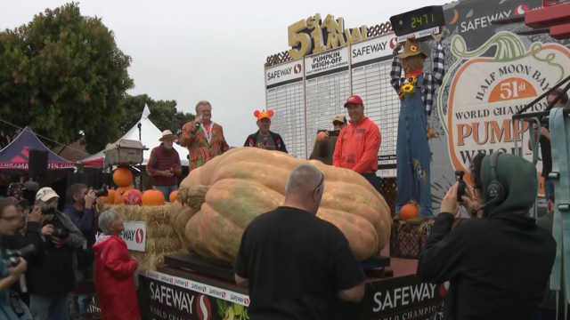 Half Moon Bay pumpkin weigh-off 