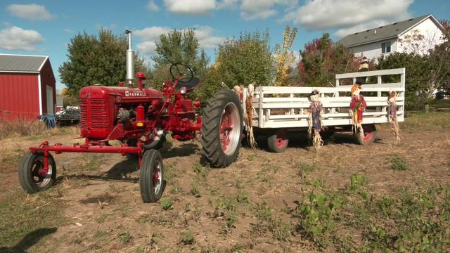 6p-pkg-haunted-hayride-wcco6bex.jpg 