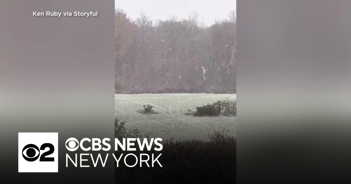 Video shows first snowfall in Upstate New York - CBS New York