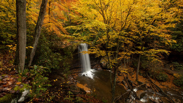 Cucumber Falls, Stunning Waterfall in Pennsylvania Fall Foliage 