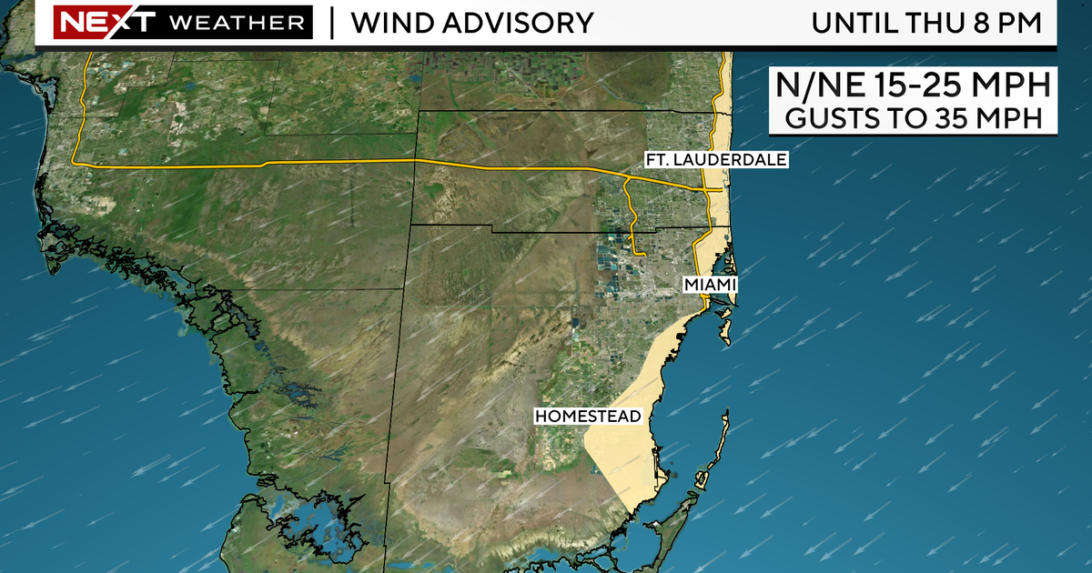 Wind advisory in effect for coastal Broward and Miami-Dade as fall-like conditions come to South Florida Wind advisory in effect for coastal Broward and Miami-Dade as fall-like conditions come to South Florida