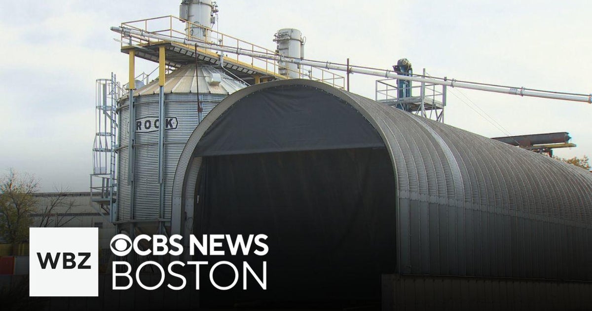 Food waste company in Grafton sued by Mass. AG over smell CBS Boston
