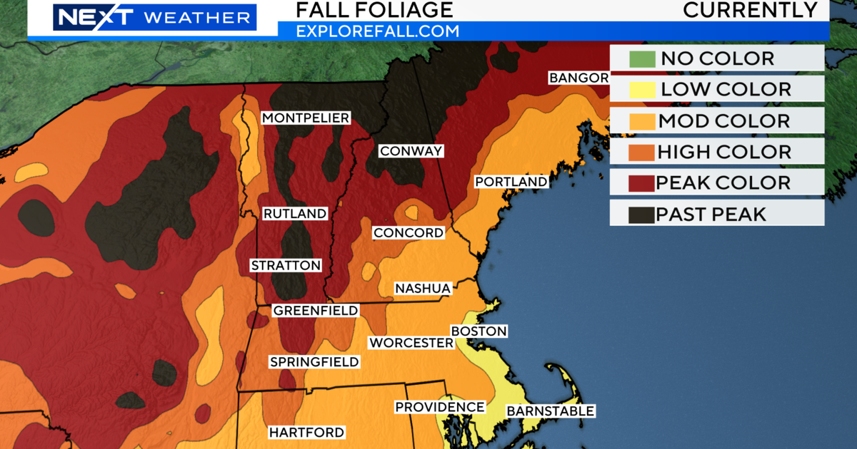 Fall foliage starting to peak in Massachusetts and New Hampshire. Map