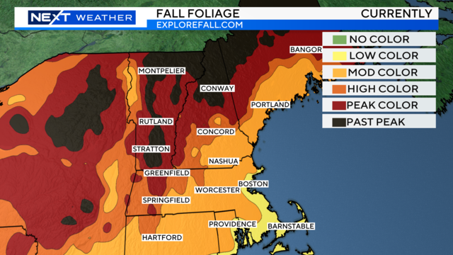 foliagemap.png 