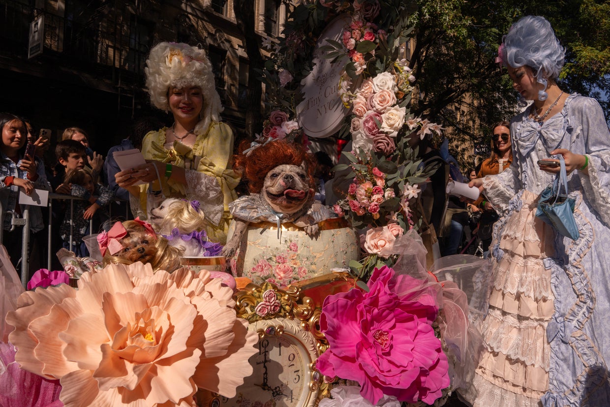 People and their dogs in costume take part in the 34th Annual Tompkins Square Park Halloween Dog Parade in New York City, October 19, 2024.