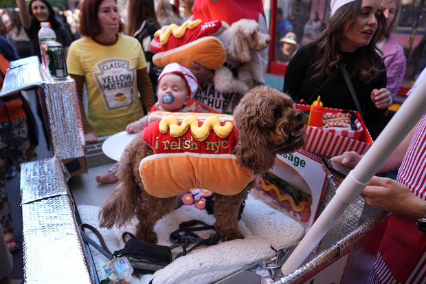 Dogs with costumes compete in the Halloween Dog Parade at Tompkins Square in New York City, United States on October 19, 2024. 