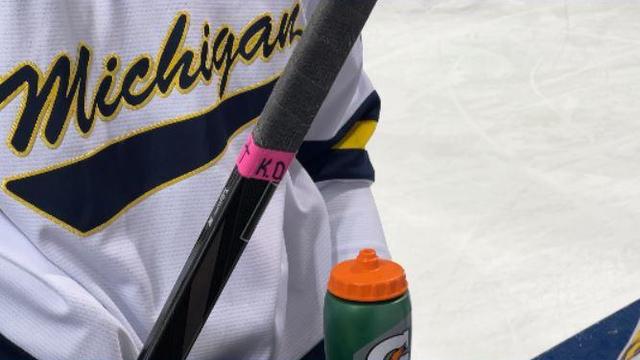 Michigan hockey hosts first pink out to support Deschamps family 