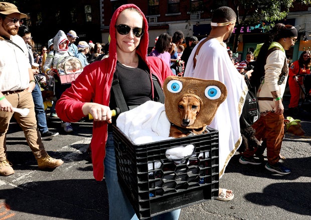 People and their dogs in costume take part in the 34th Annual Tompkins Square Park Halloween Dog Parade on October 19, 2024 in New York City.