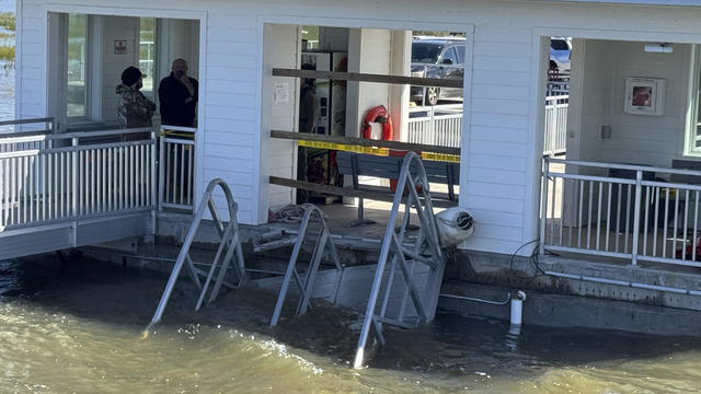 Ferry Dock Deaths-Georgia 