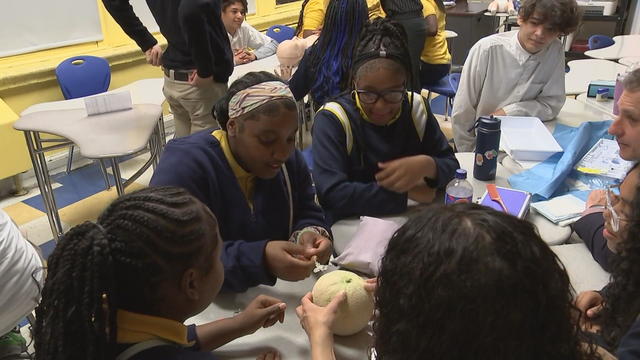 A student inserts a needle into a cantaloupe while other students look on 