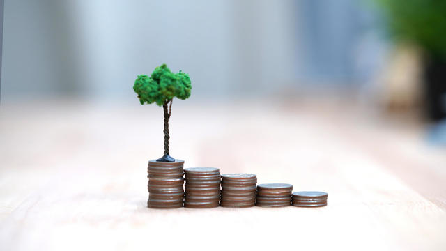 Coins stacks with a tree 