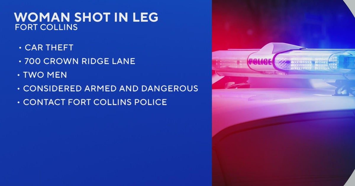 Woman shot while trying to stop suspects attempting to break into her ...