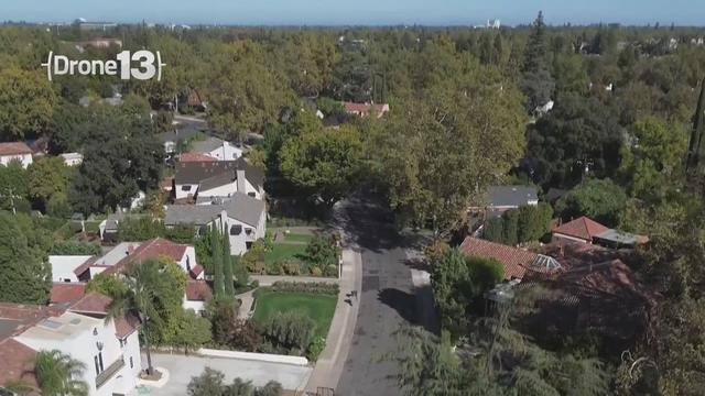 drone-sacramento-tree-canopy.jpg 