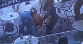 Large dog pounces on small dog outside coffee shop in Brickell Large dog pounces on small dog outside coffee shop in Brickell