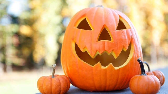 Jack-O-Lantern and three small pumpkins