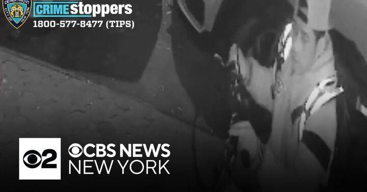 NYPD hunting for suspect in Central Park attempted rape - CBS New York