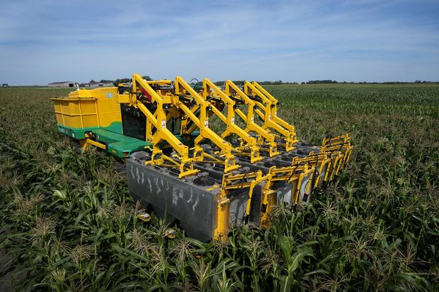 Climate Automated Farm Tech 