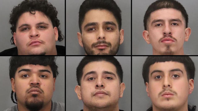 san-jose-gang-arrests-102824.jpg 