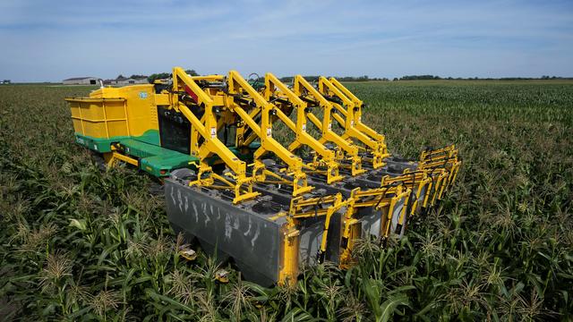 Climate Automated Farm Tech 