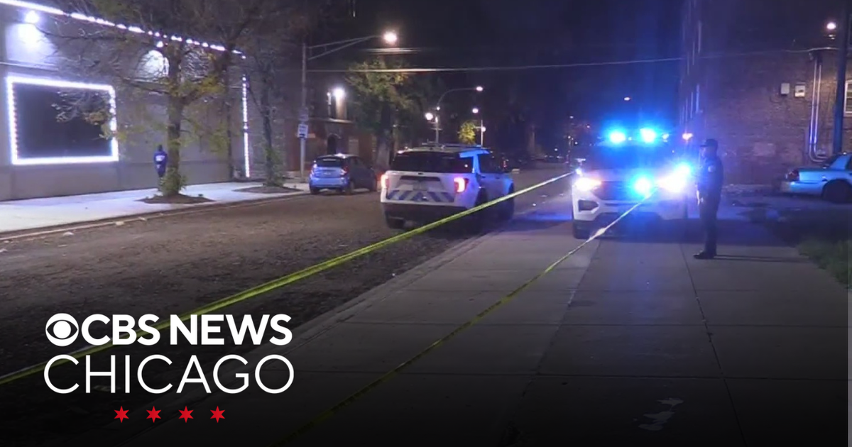 Woman hit by stray bullet fired by robbers on Chicago's South Side ...