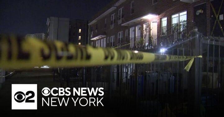 NYPD searching for a motive in apparent murder-suicide in the Bronx ...