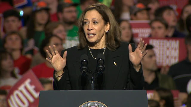 Democratic Presidential Nominee Kamala Harris Hosts Campaign Rally In Madison, WI 