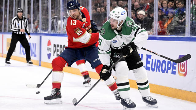 IHOCKEY-NHL-FIN-DALLAS STARS-FLORIDA PANTHERS 