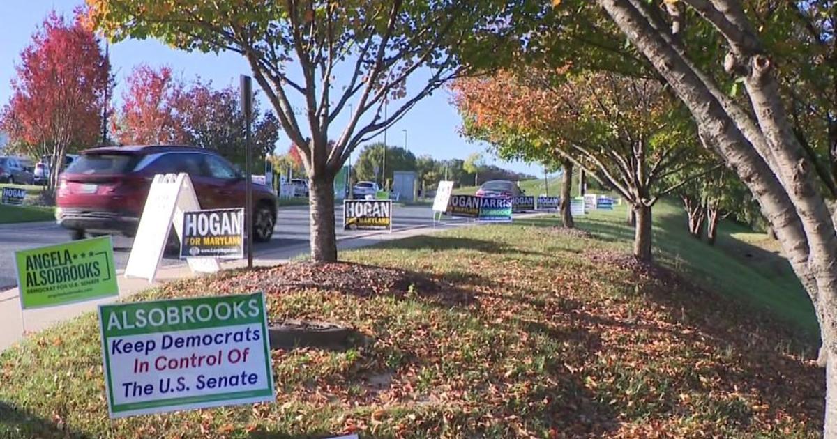 Angela Alsobrooks Wins Historic Maryland Senate Race