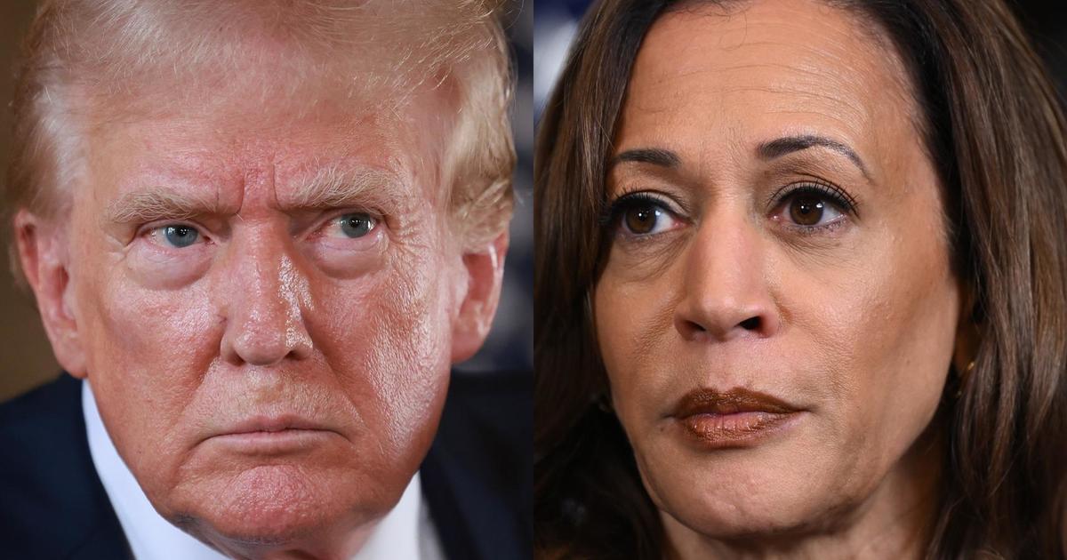 What's next for Harris, Trump after the 2024 elections