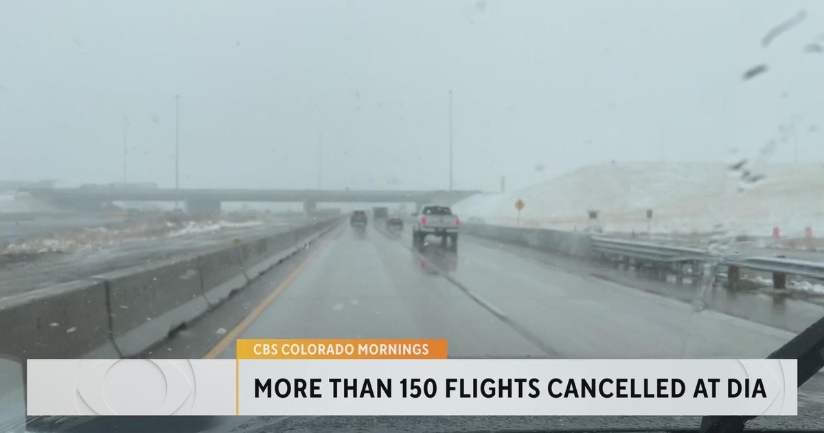 Massive Snowstorm cancels, delays flights at DIA - CBS Colorado