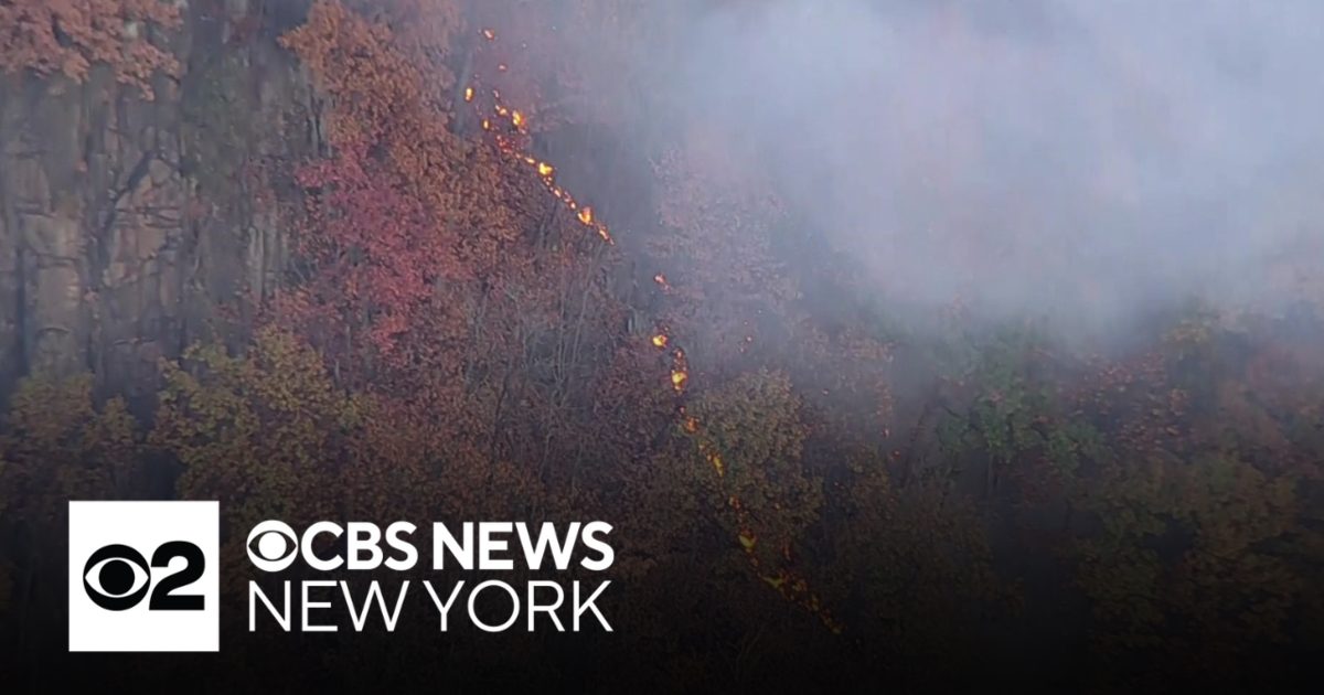 Palisades Wildfire Causes Smoky Conditions Along Hudson River – Team Coverage