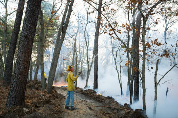 A firefighter is standing in a forest spraying a hose as smoke billows 