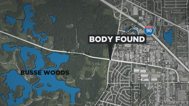 Woman's body found in forest preserve 