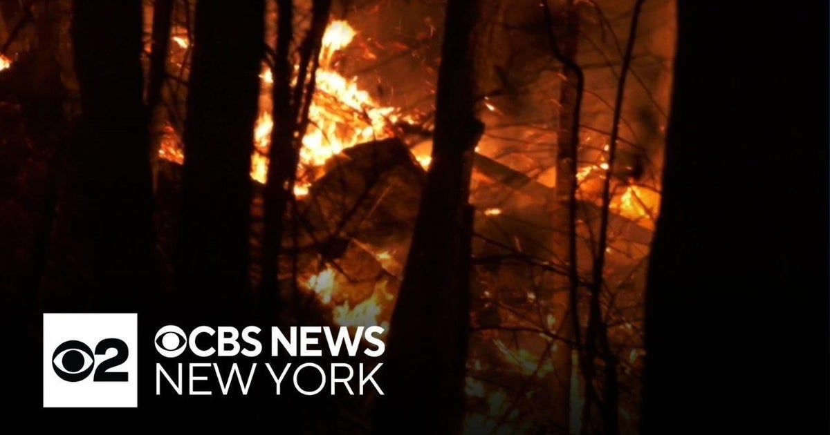 New York forest ranger dies battling wildfire, officials say - CBS New York
