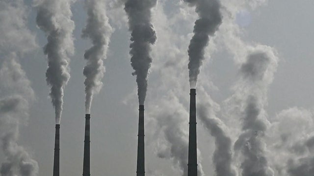 1110-wn-kraus.jpg 