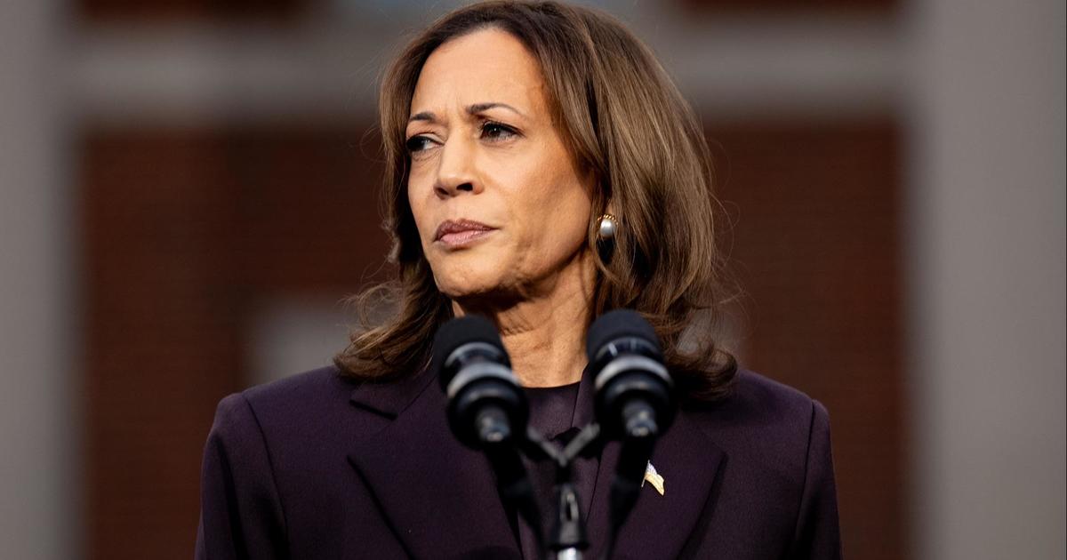 Democrats play blame game after Kamala Harris' defeat