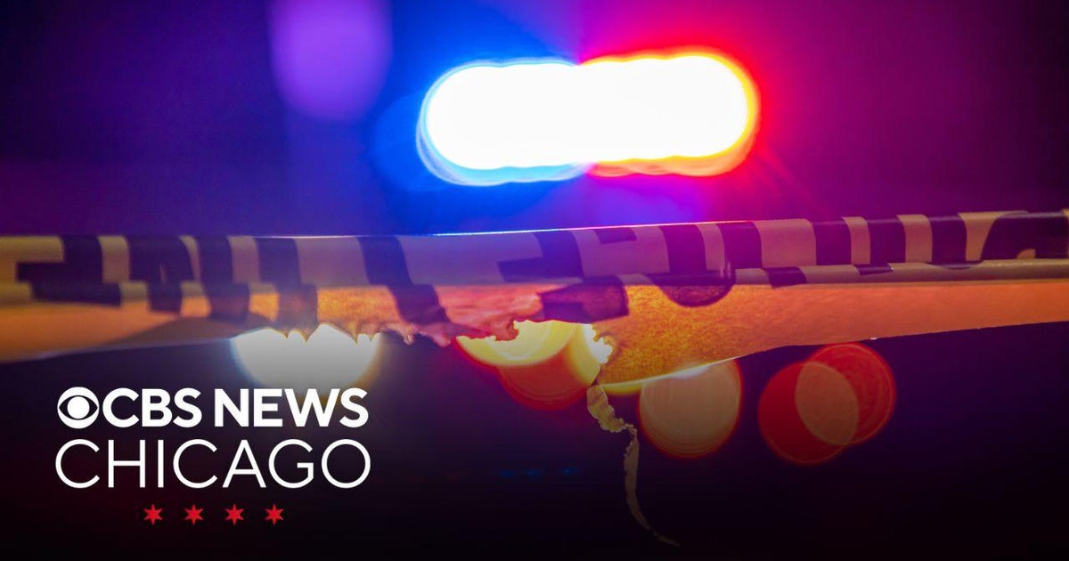 CPD officer stabbed while arresting suspect in South Shore - CBS Chicago