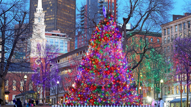 Boston Common Christmas Tree 