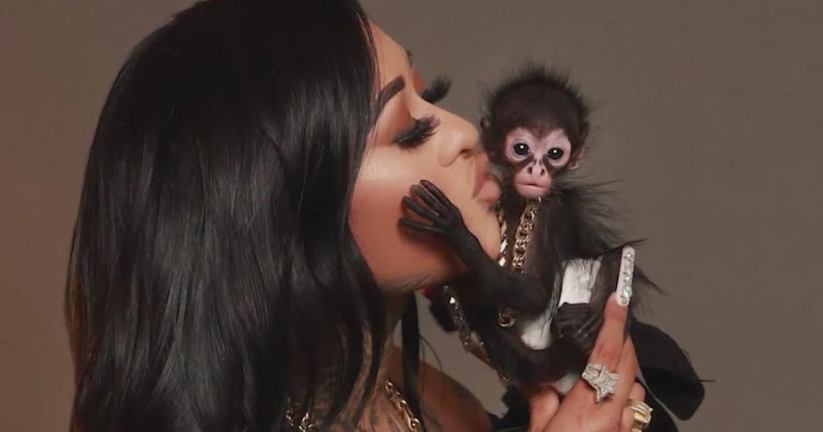 North Texas woman fights to reclaim pet monkey - CBS Texas