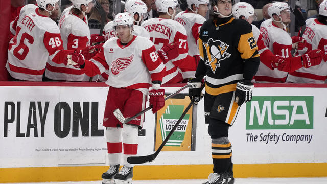 Red Wings Penguins Hockey 