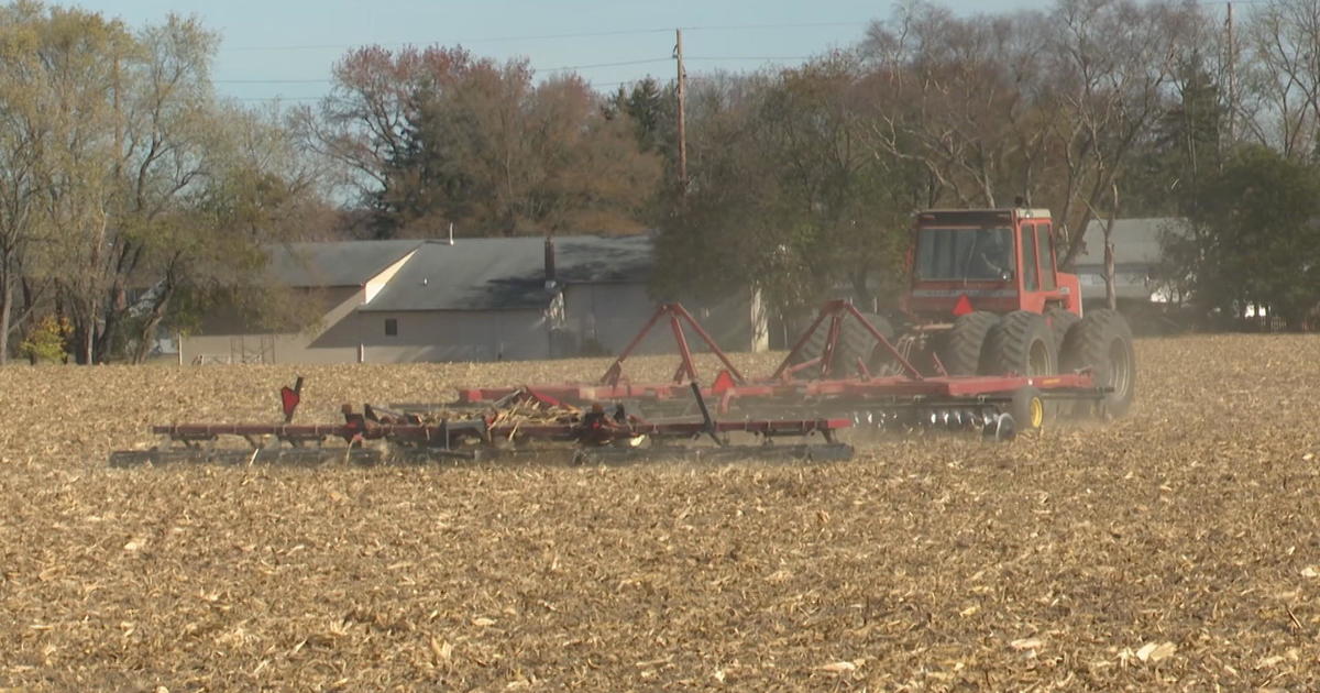 Farmers, Christmas trees in New Jersey hit by dry weather: “We desperately need rain!”