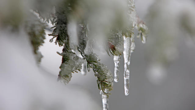 Snow in the Oberharz 