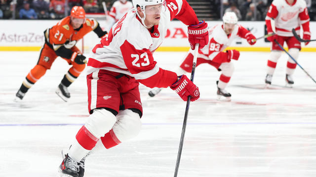 Detroit Red Wings v Anaheim Ducks 