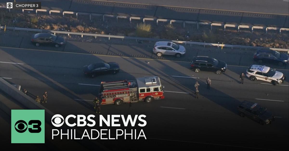 The woman died Friday from her injuries after being struck by a car on I-95