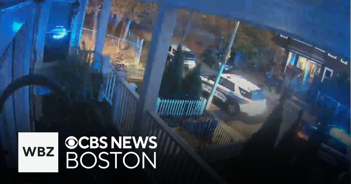 Police shoot dog after it attacks 4 people, including 2 officers in ...